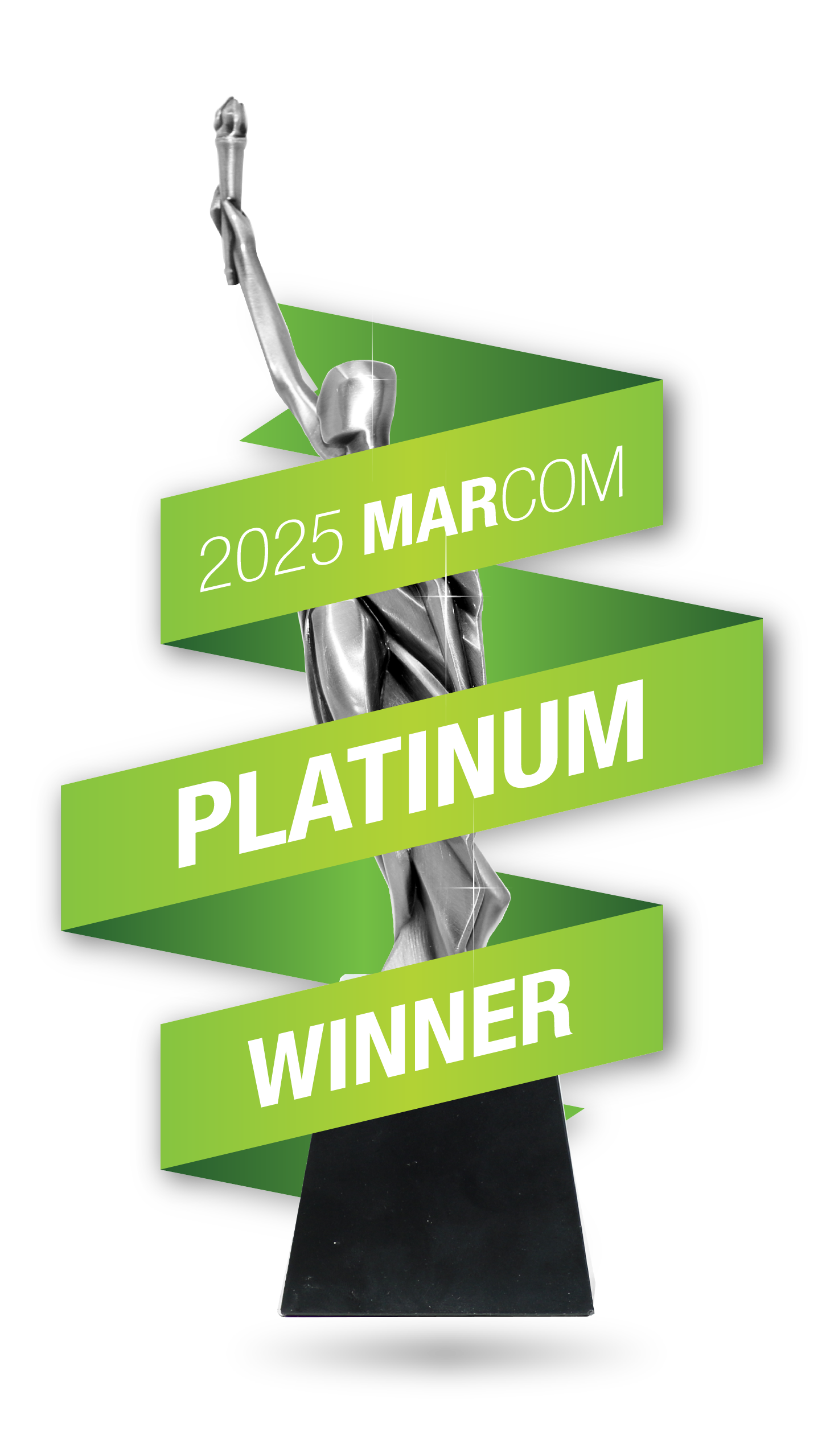 Wayve Media Wins MarCom Platinum Award for Search Engine Marketing with Carrefour MENA